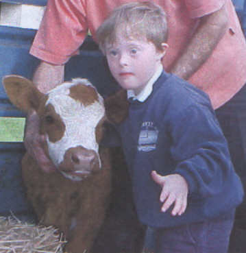 Jacob, aged 6 years, petting a visiting cow at school - kids with Down Syndrome are able to participate in all activities within a school if properly supported.